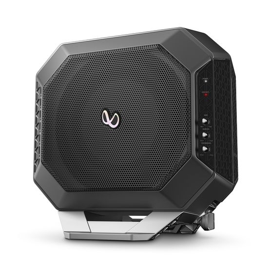 Integrated subwoofer system with 10″ driver and 10″ passive radiator